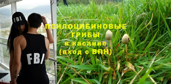 PSILOCYBIN Дмитриев
