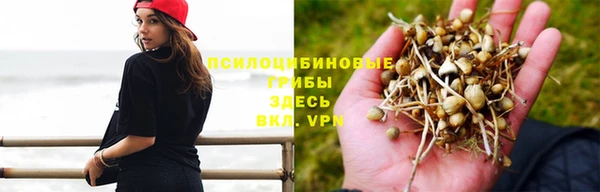 марихуана Дмитровск