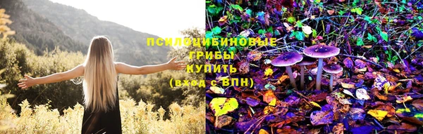 PSILOCYBIN Дмитриев