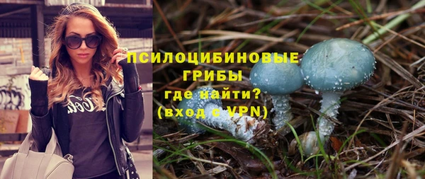 дмт Елабуга