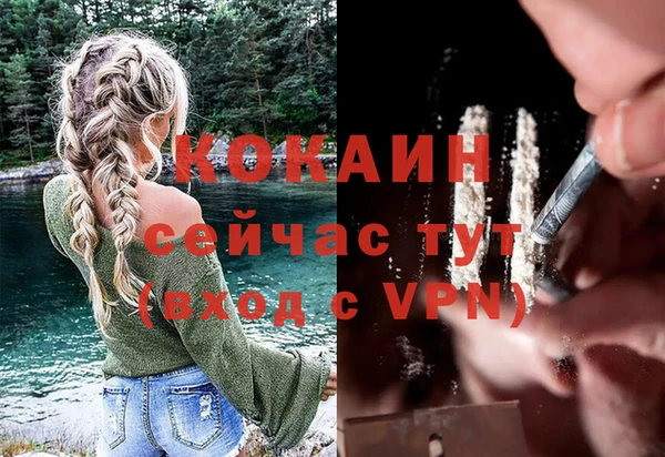 spice Ельня