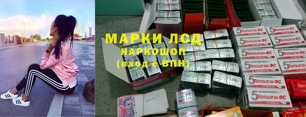 PSILOCYBIN Дмитриев