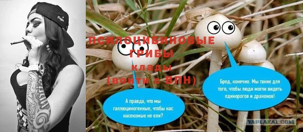 PSILOCYBIN Дмитриев
