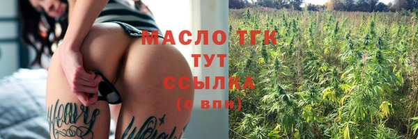 spice Ельня
