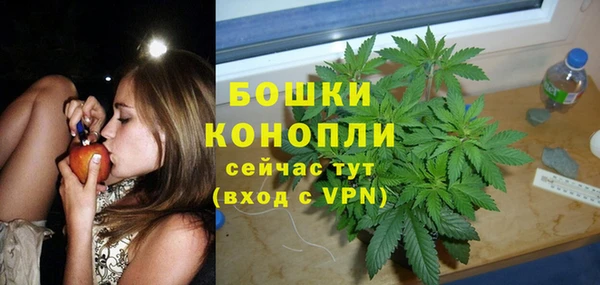 spice Ельня