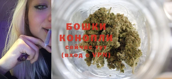 PSILOCYBIN Дмитриев