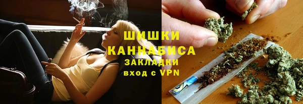 дмт Елабуга