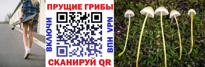 купить  сайты  Тайшет  kraken зеркало  Галлюциногенные грибы ЛСД 